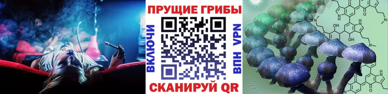 Псилоцибиновые грибы прущие грибы  Шебекино 