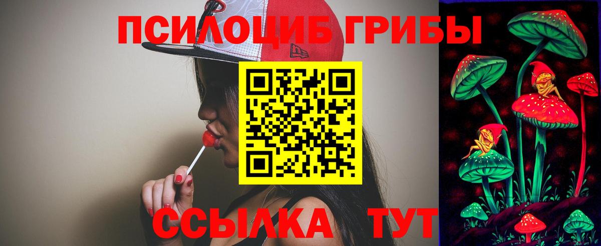 закладка  Вход с VPN  Шебекино  Галлюциногенные грибы Magic Shrooms  Галлюциногенные грибы мухоморы 